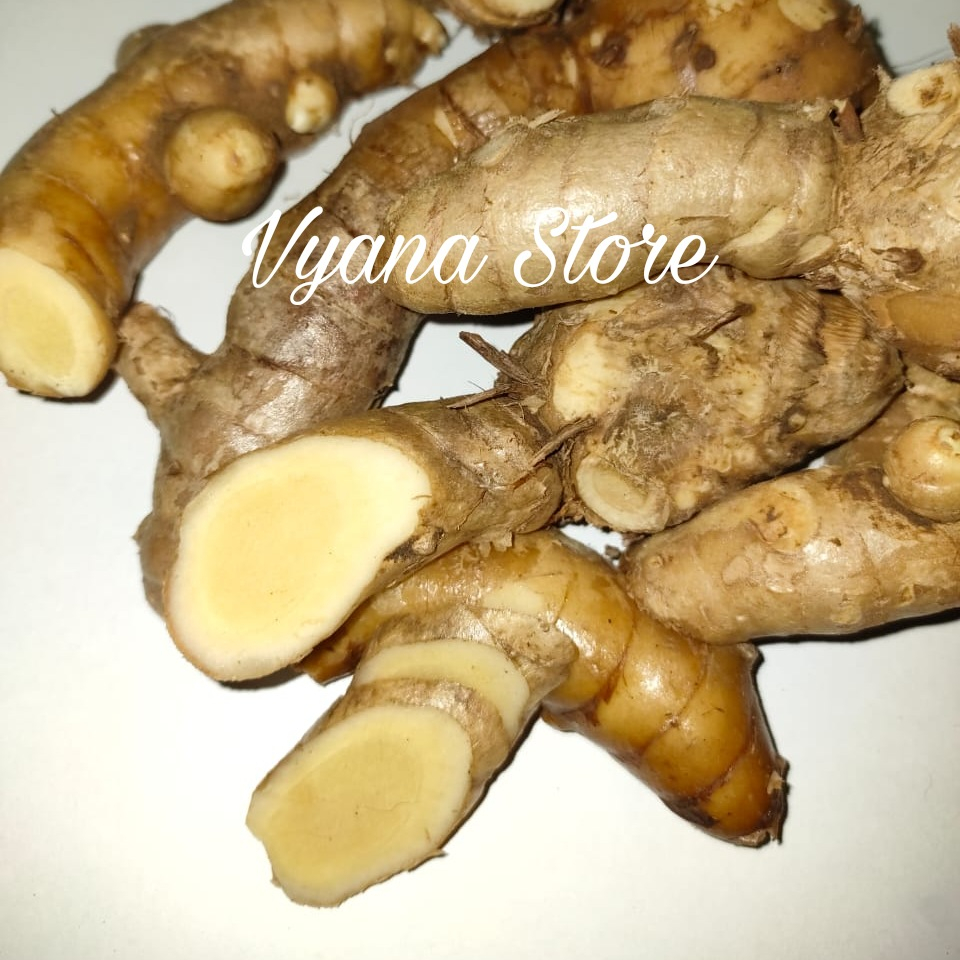 

Kunyit Putih Segar - Temu Putih Fresh 1 kg Kunir Kunyit