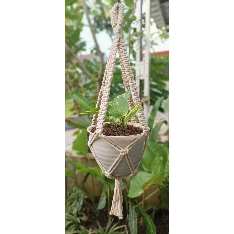 pot gantung murah / pot gantung macrame / macrame pot plant hanger / pot gantung tanaman