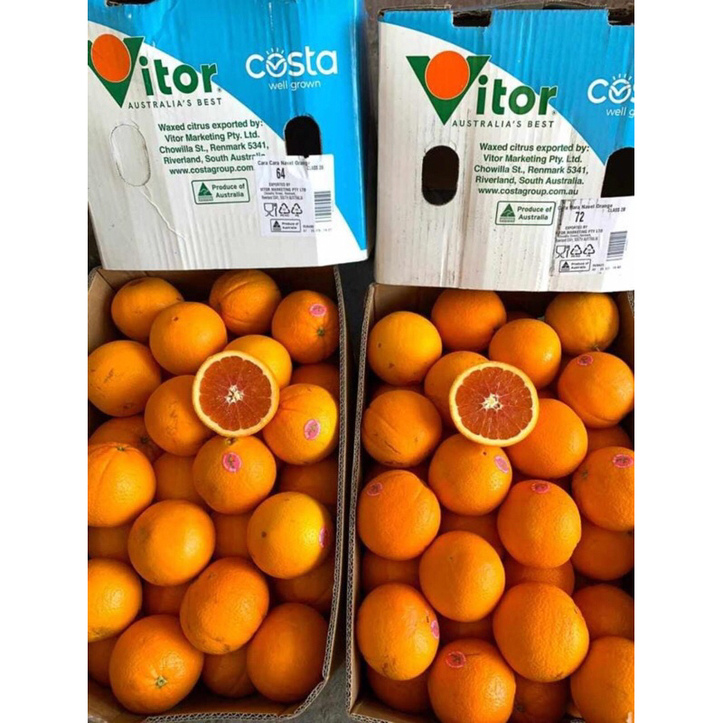 

Sunkis Cara Cara Australia 1 Dus (18 KG) Fresh Import