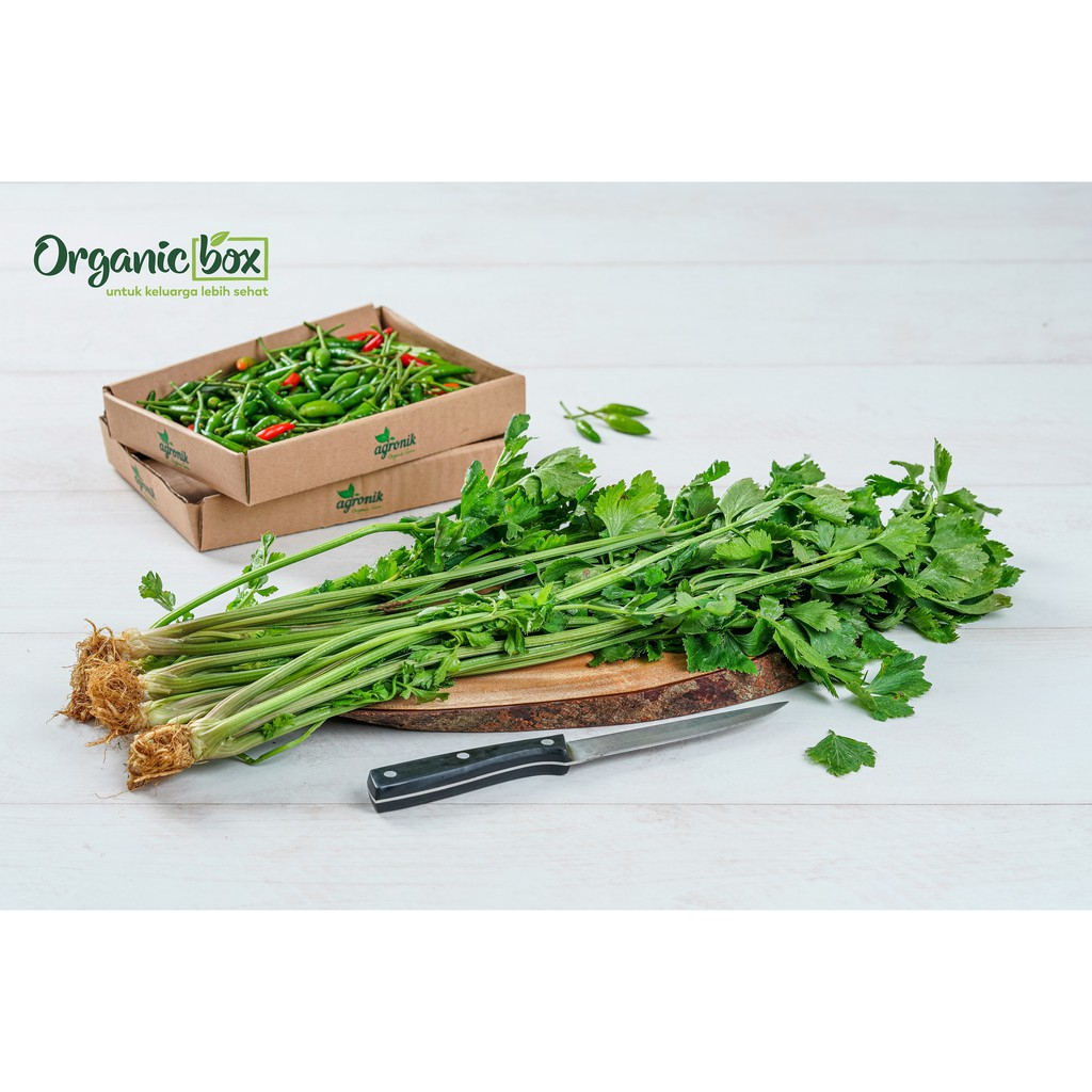 

Daun seledri organik quality farm