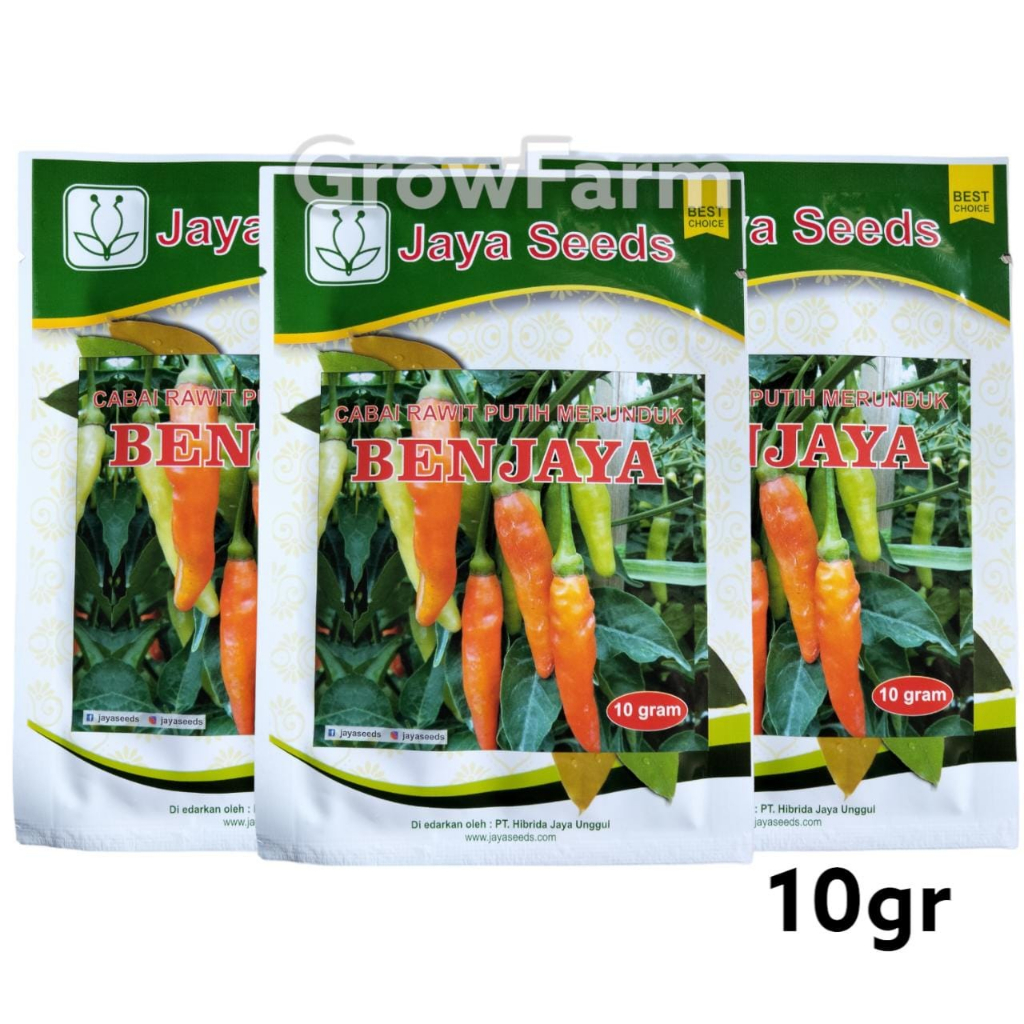 Benih Cabai BENJAYA 10 GR Bibit Cabe Rawit Merunduk Unggulan Jaya Seed