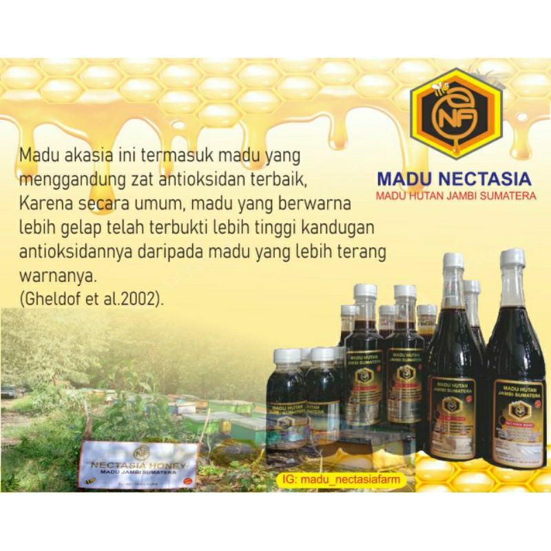 

madu hutan asli alami 100% murni tanpa campuran dan olahan