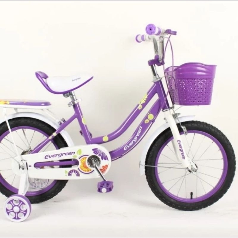 Sepeda Mini 16 Evergreen Daisy