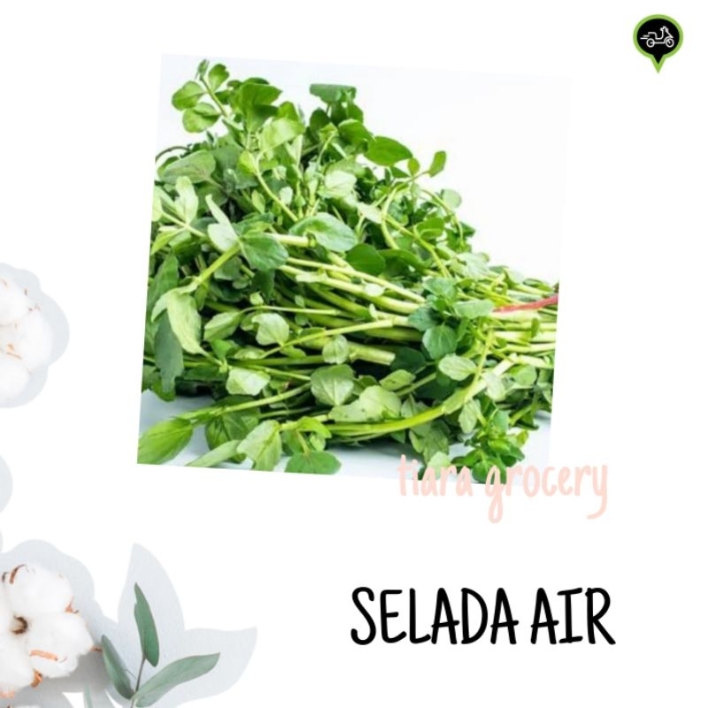 

Selada air