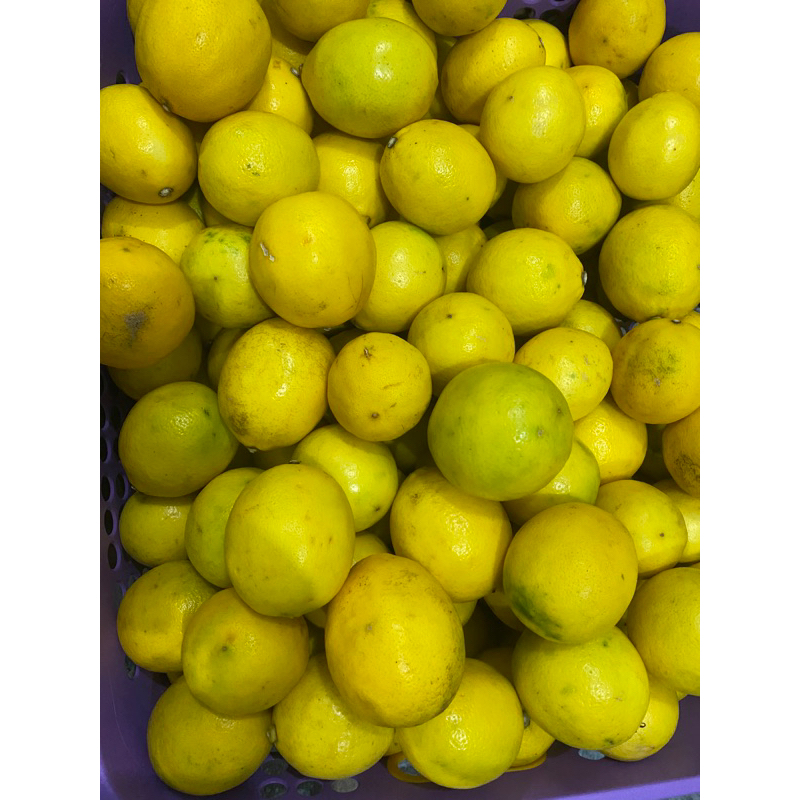 

Lemon California air melimpah