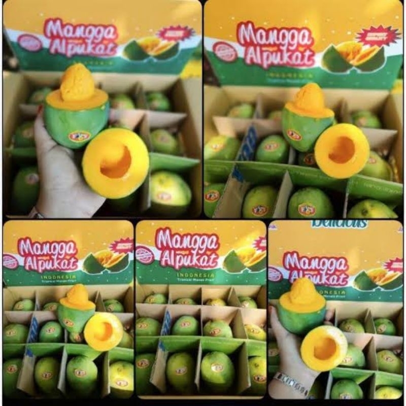 

Mangga Klonal/mangga harum manis/mangga alpukat 1kg