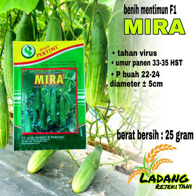 

timun mira pertiwi 20gram / metimun petiwi / timun mira