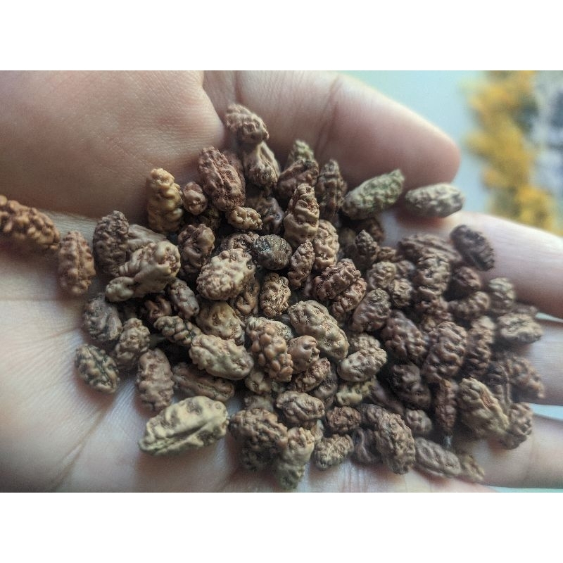 mukhi 1 quality B ,