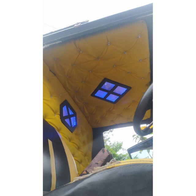 plafon L300 custome