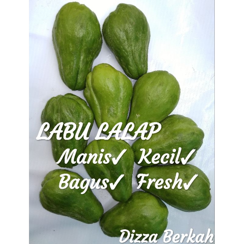 

LABU LALAP/LABU KECIL/250gr/Dizza Berkah