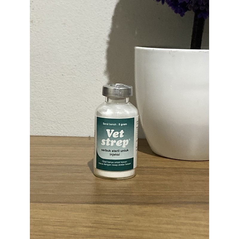 VET STREP 5 gr