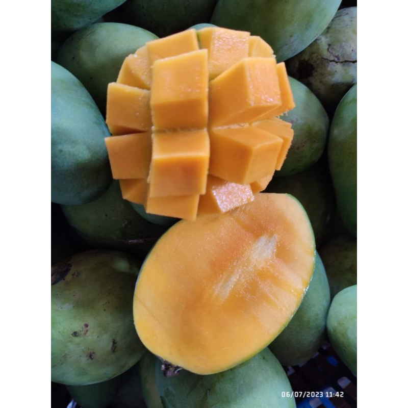 

Mangga harummanis ( 1 kg)