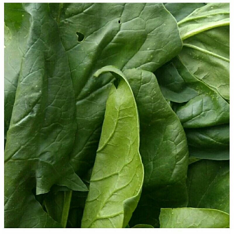 

poleng sayuran fresh 250 gram