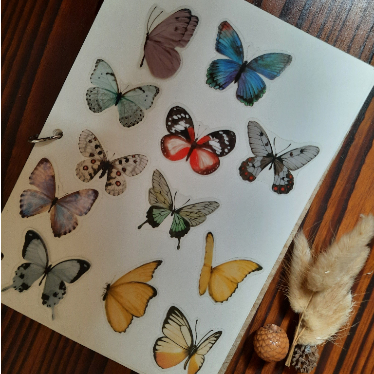 

Stiker Kupu-kupu Butterfly Untuk Journal Scrapbooking
