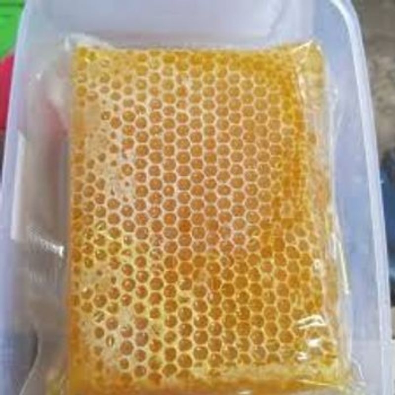 

Madu Sarang Mellifera 500 gr