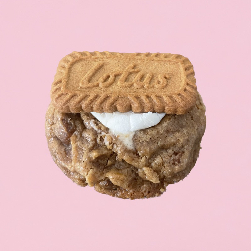 

Lotus Biscoff S’mores Cookies