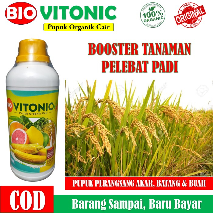 PUPUK PELEBAT Padi BIO VITONIC PEMBESAR BUAH dan BOBOT Padi Lebih Berat dan Banyak - Pupuk Organik C