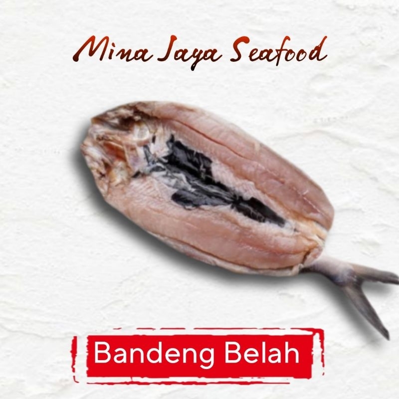 

Ikan Bandeng Belah / FREE SUDAH DIBERSIHKAN