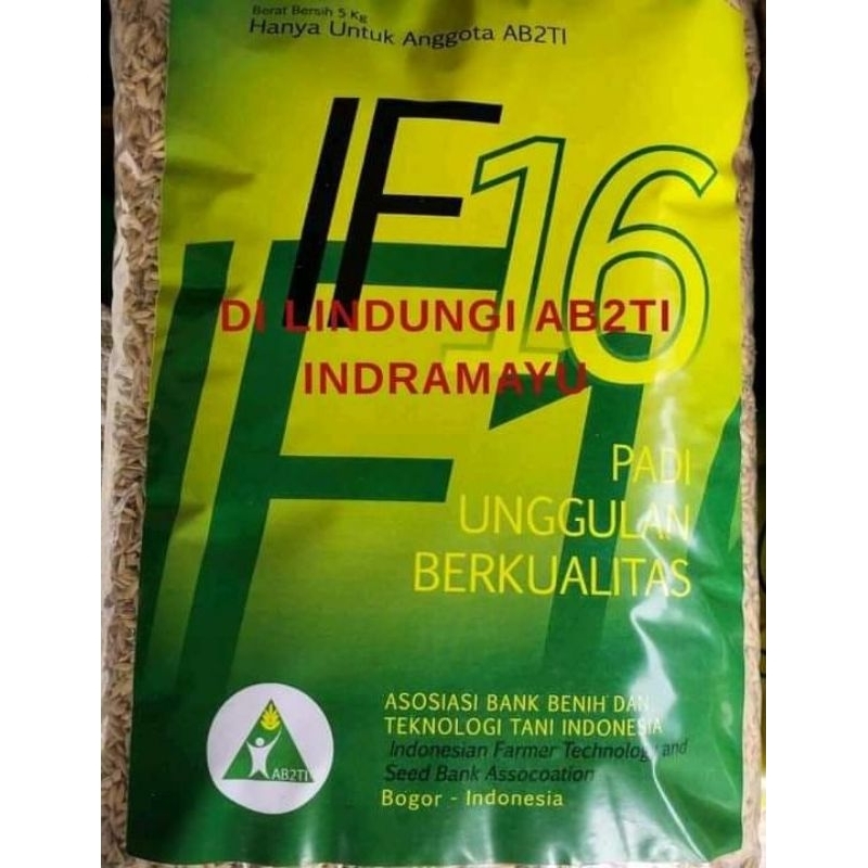 BENIH PADI IF 16 NEW ORIGINAL AB2TI TERMURAH KEMASAN 5KG