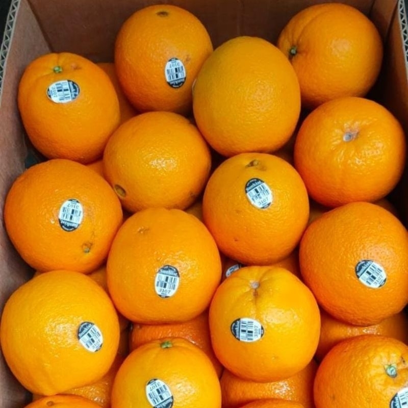 

Jeruk Sunkist /manis/ 500 gram