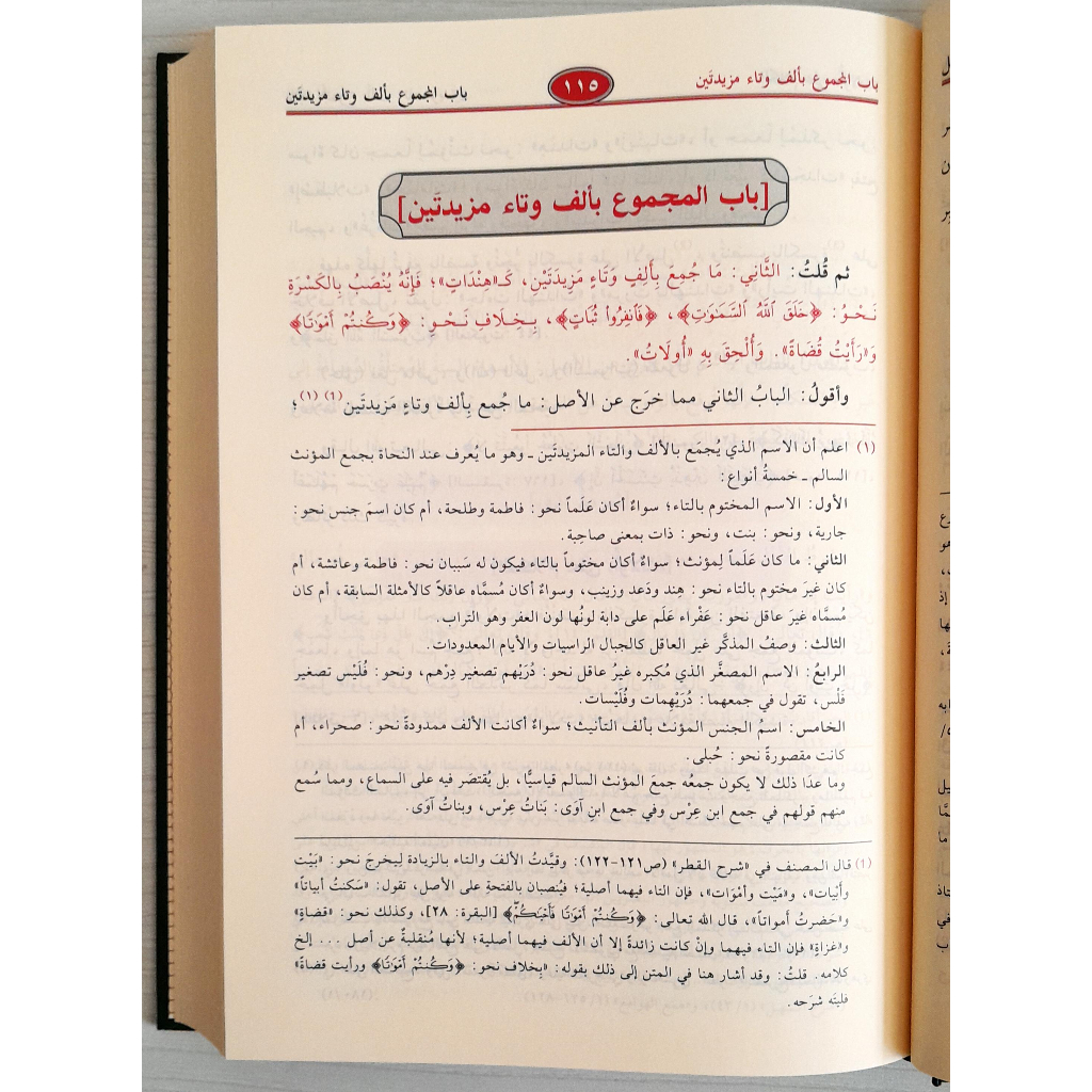 Jual Kitab Syarah Syudzuru Dzahab Skema Muassasah Alresalah Syarh Syuzuru Zahab Ibnu Hisyam al Anshari | شرح شذور الذهب ومعه منتهى الأرب Impor Original di Toko Kitab Alresalah