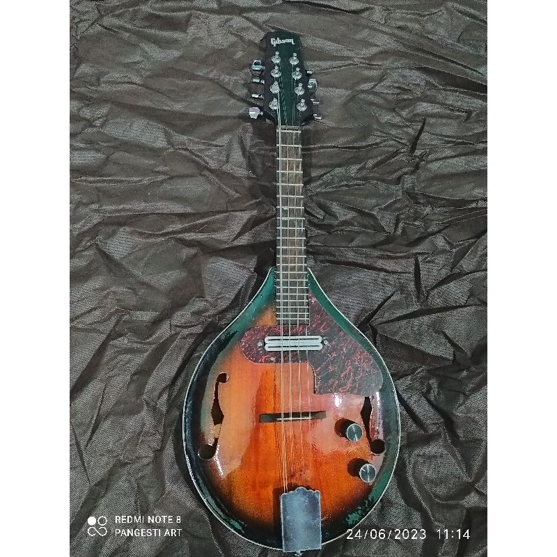 mandolin akustik elektrik model seperti difoto warna by request