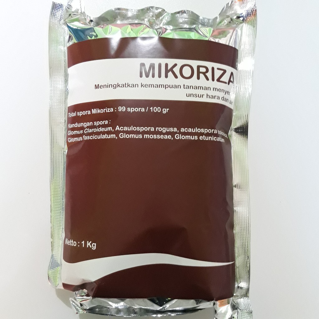 Pupuk Hayati Mikoriza