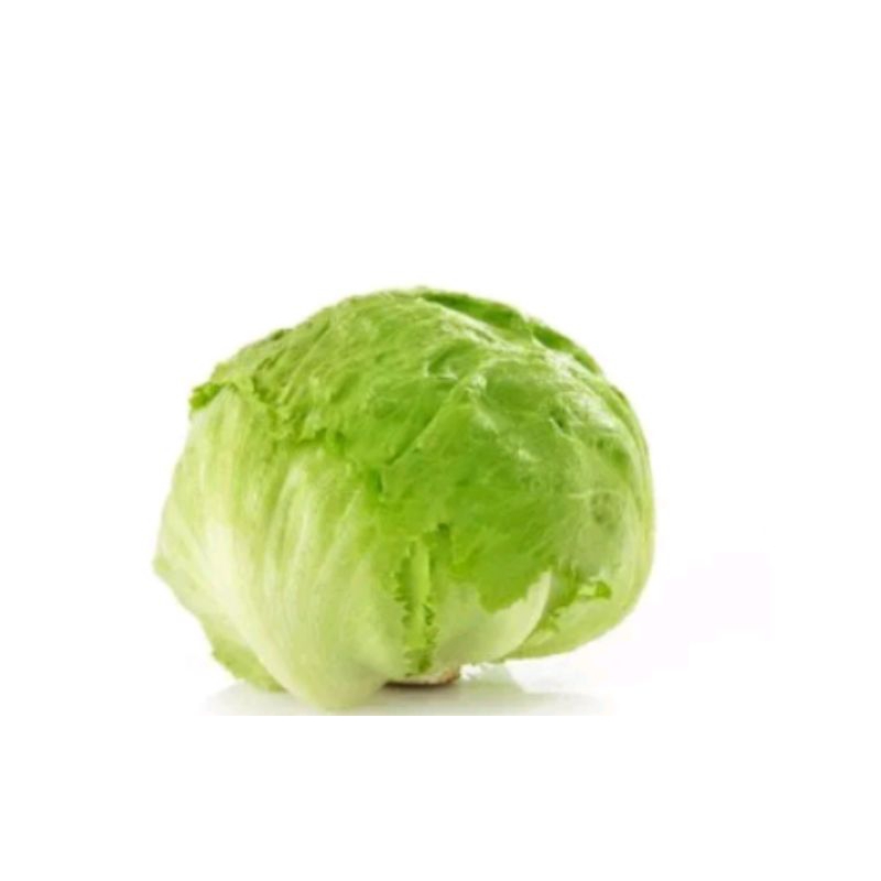 

LETTUCE icberg