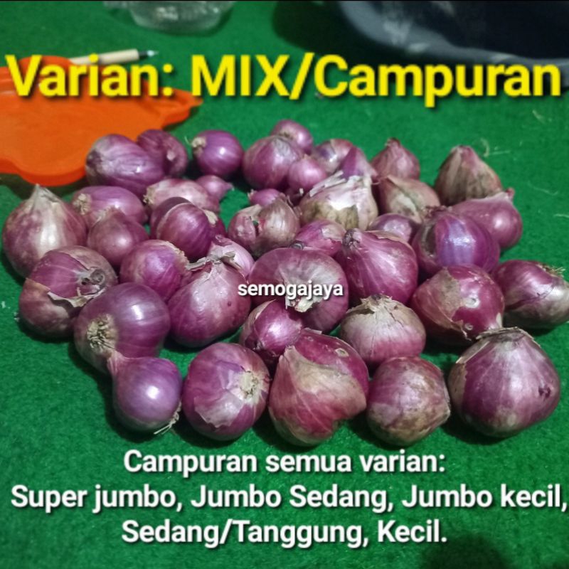 

1 KG Bawang Merah Probolinggo MIX/Campur. Bawang Super
