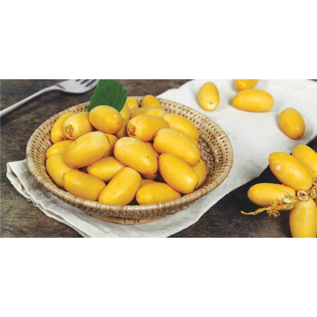 

Kurma muda promil barhee 1kg