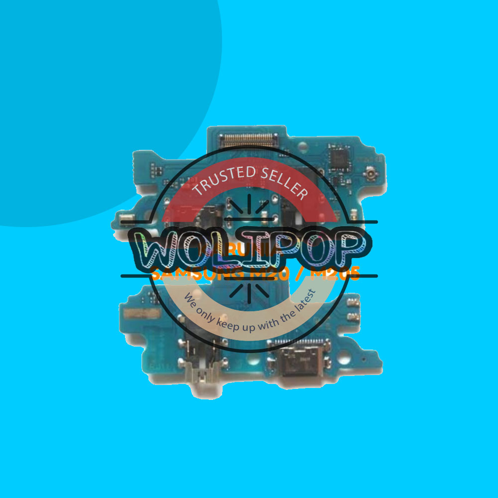 WITH ADA IC FLEXIBLE CONECTOR CHARGER MIC SAMSUNG M20 M205 M205F