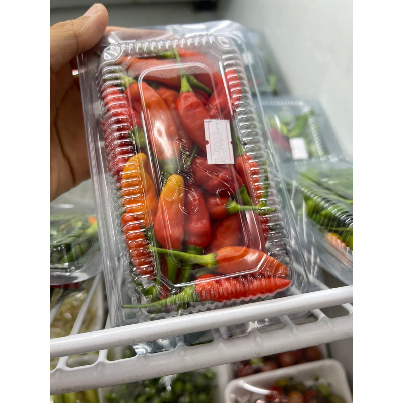 

CABE caplak
