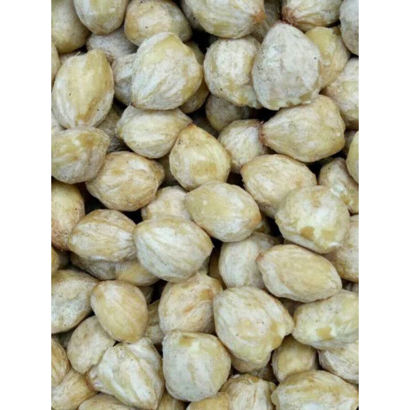 

Kemiri Sulawesi Utara