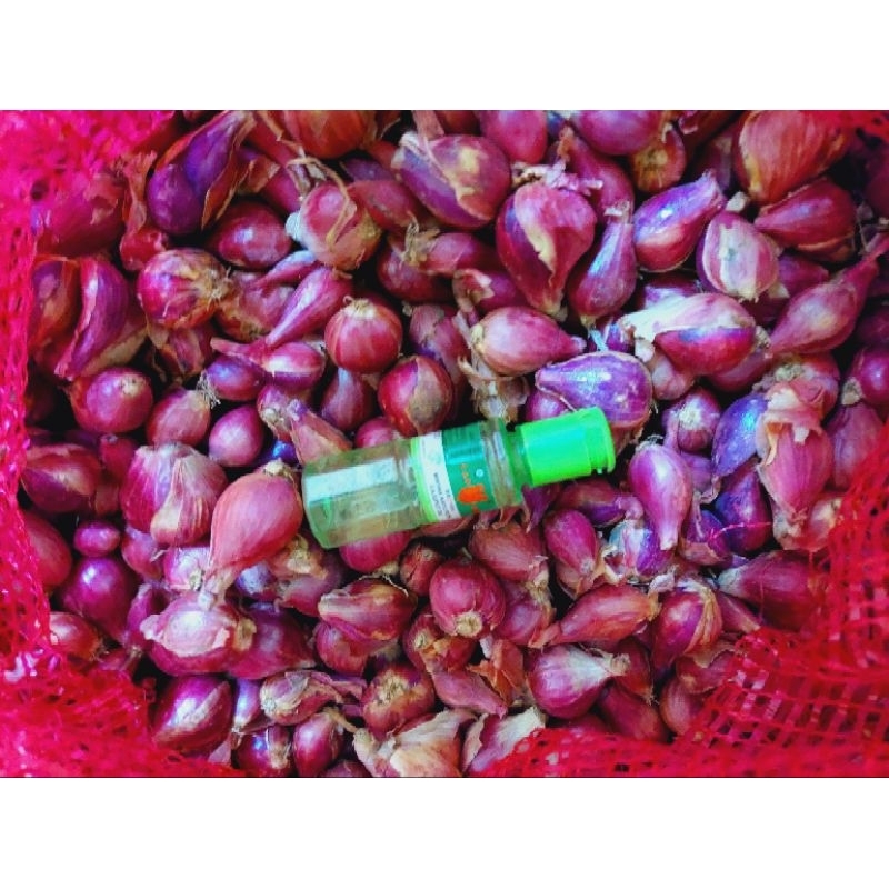 

BWANG MERAH CAMPUR