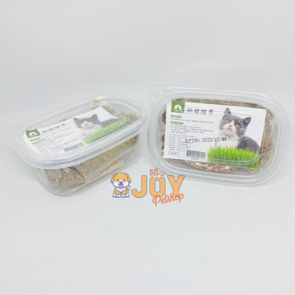 Rumput Kucing Paket Lengkap - Cat Seed Wheat Grass