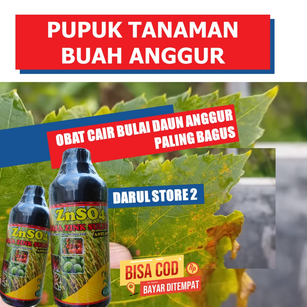 Fungisida Menekan Bulai Buah Anggur ZNSO GAZA ZINK SULFATE Paling Laris - Obat Cair Mencegah Busuk B