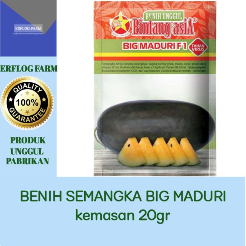 NEW BIG MADURI BENIH SEMANGKA INUL