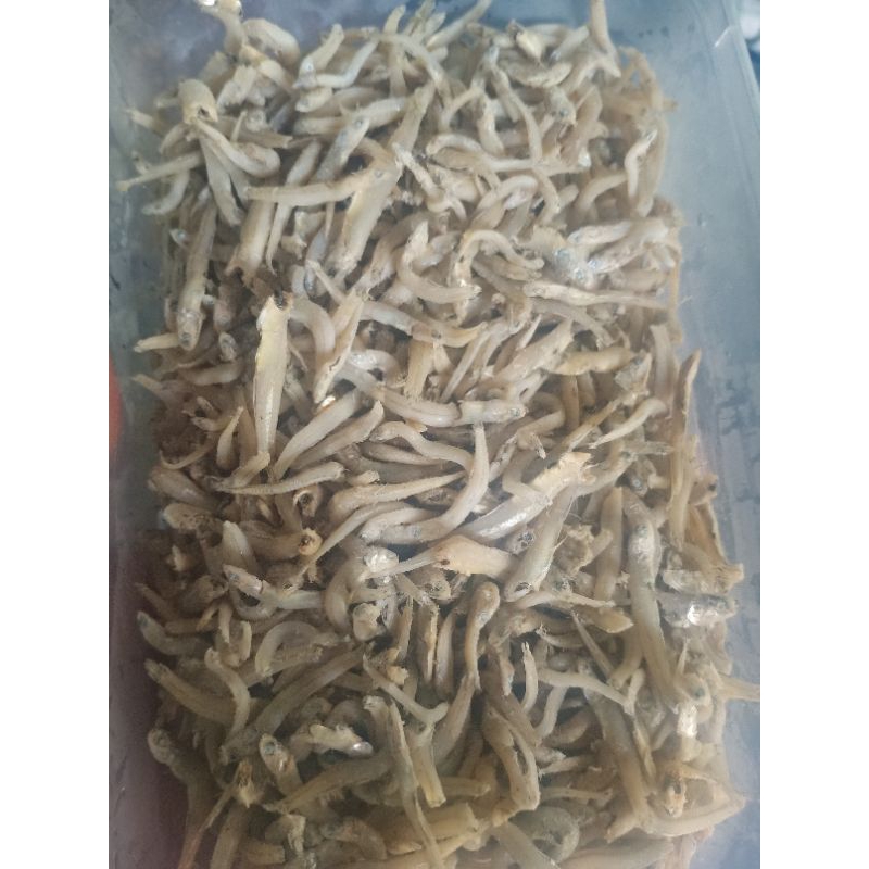 

Ikan teri nasi 100 gr