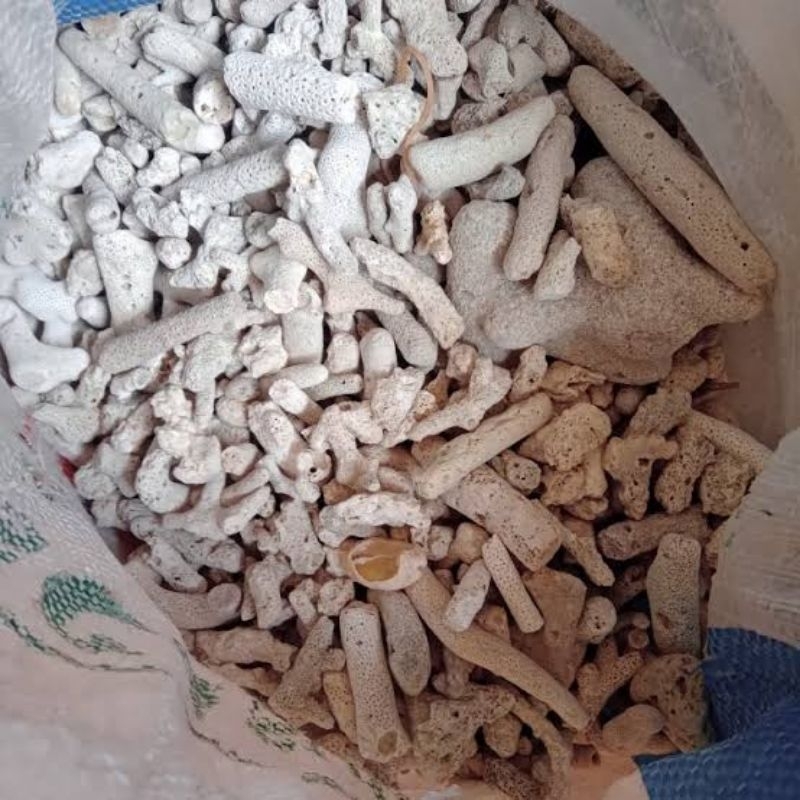 Karang Jahe 1kg / Batu Karang Jahe Aquarium dan Kolam