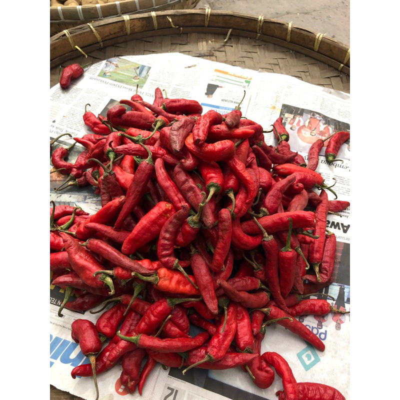 

CABE MERAH TANJUNG FRESH 250GRAM