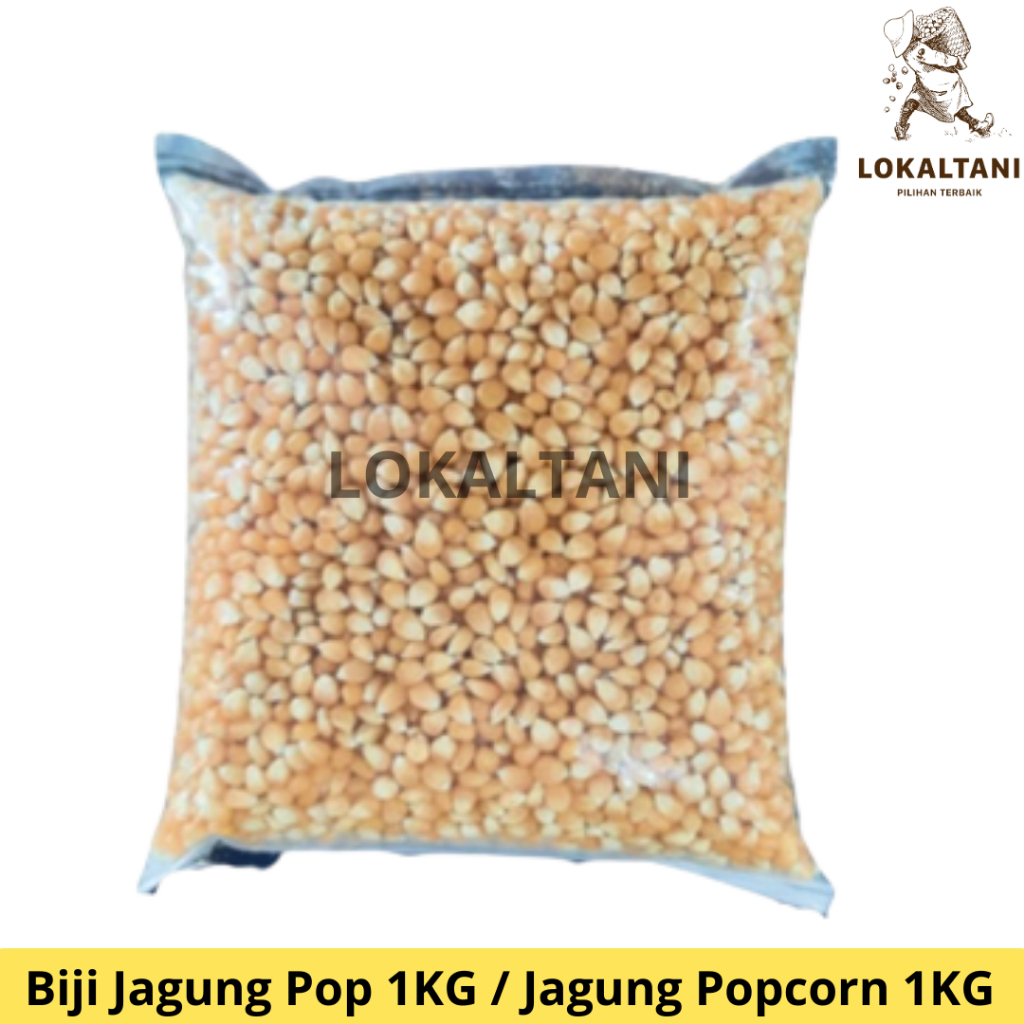 

Biji Jagung KingPop 1KG / Biji Jagung Popcorn Kingpop Asli 1KG