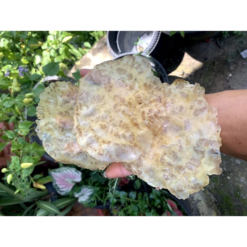 

Kerupuk Jengkol Padang @500 gr
