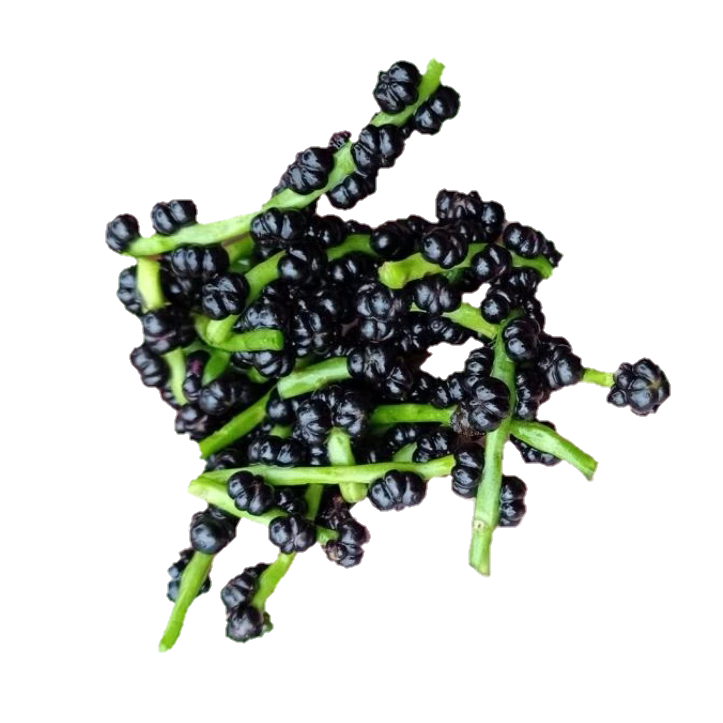 

buah angkung segar 200 pcs
