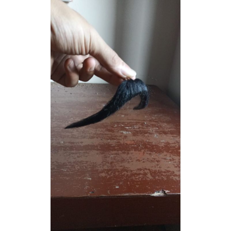 jebres rajut jaran kepang temanggung rapi ganteng keren #jaranan #temanggung