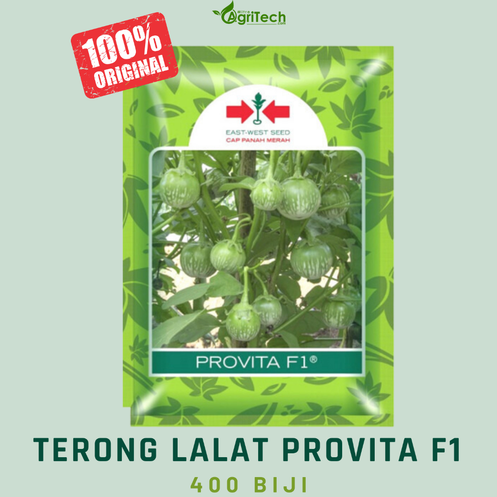 BENIH BIBIT TERONG LALAP BULAT PROVITA F1 ISI 400 BIJI CAP PANAH MERAH
