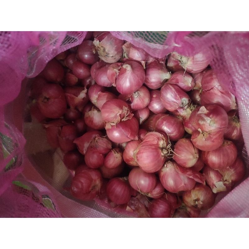 

BawangMerah