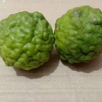 

jeruk purut asli