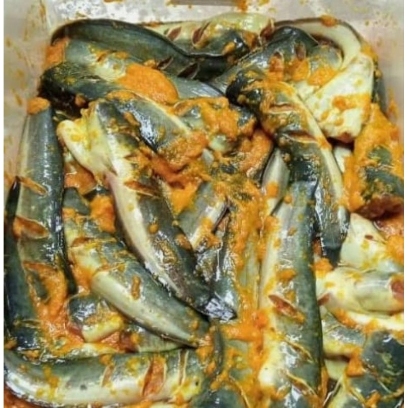 

Lele Bumbu Kuning 2 ekor