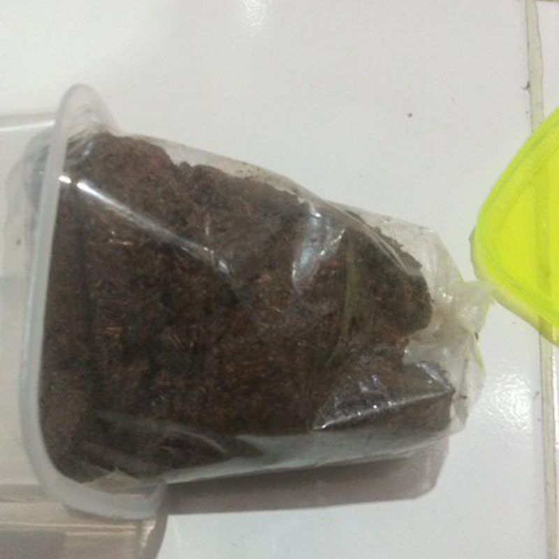 DUPA SUPER 100GRAM DUPA PENGANTIN SUPER