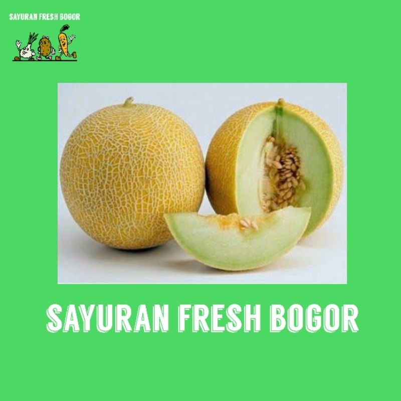 

Melon Hijau Segar premium ( 1/2 Buah ) | Sayuran Fresh Bogor